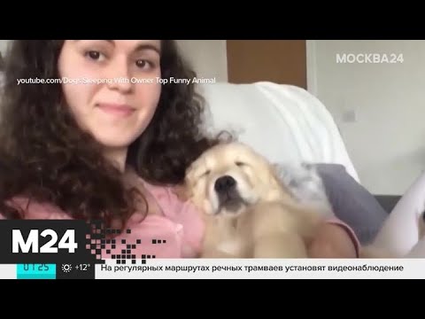 Смотреть фото Актуальные новости за 11 сентября - Москва 24 новости россия москва Смотреть фото Актуальные новости за 11 сентября - Москва 24 новости россия москва