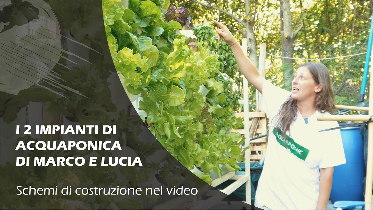 Impianto di ACQUAPONICA DISACCOPPIABILE