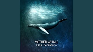 Mother Whale
