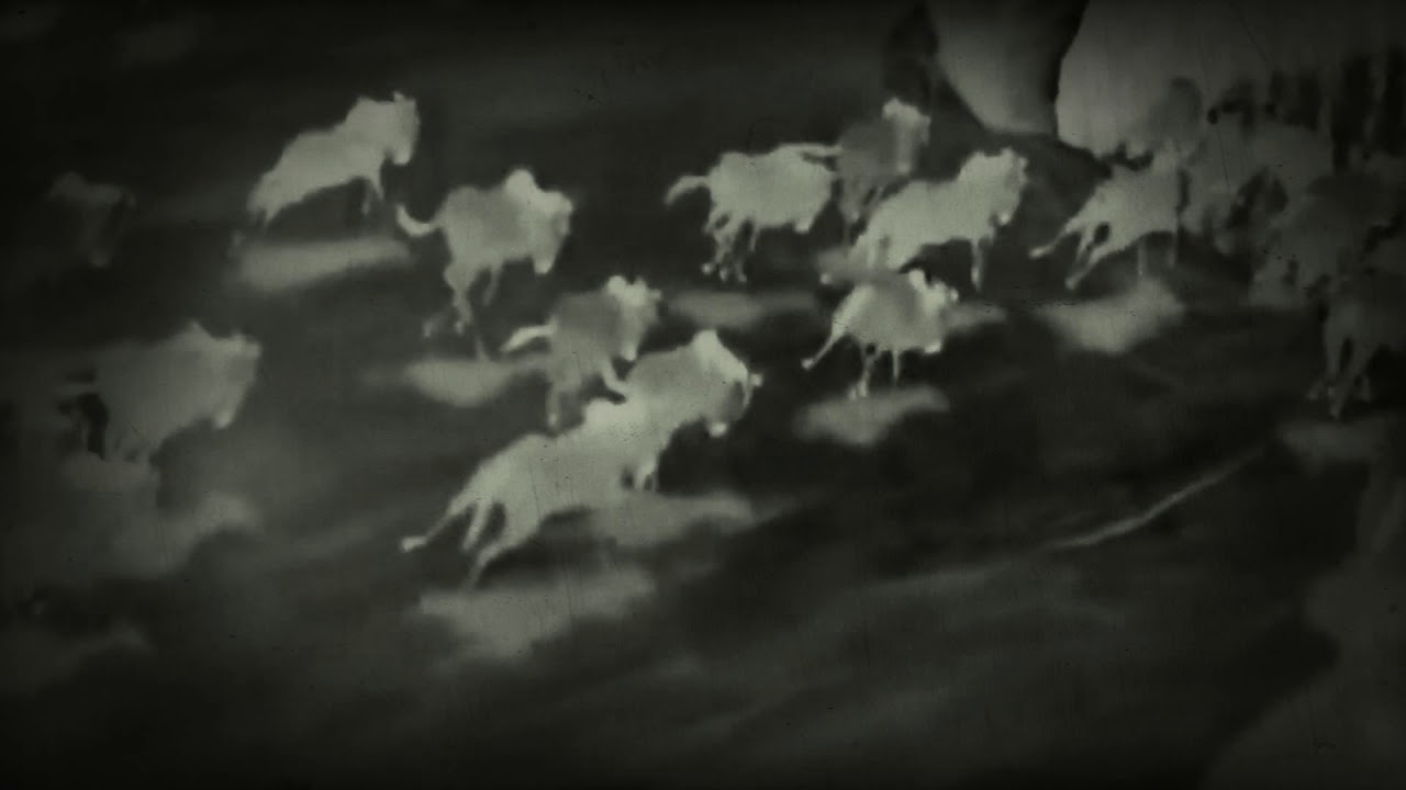 camera iphone 8 plus apk Lion king the stampede and Mufasa’s death colorful