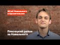 Плесецкий район за Навального