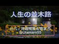 ディック・ミネの「人生の並木路」作詞:佐藤惣之助,作曲:古賀政男。(歌いだし) 泣くな妹よ 妹よ泣くな 泣けば幼い 二人して 故郷をすてた 甲斐がない 遠いさびしい  ...
