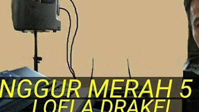 ANGGUR MERAH 5 ( KARAOKE ) | LOELA DRAKEL