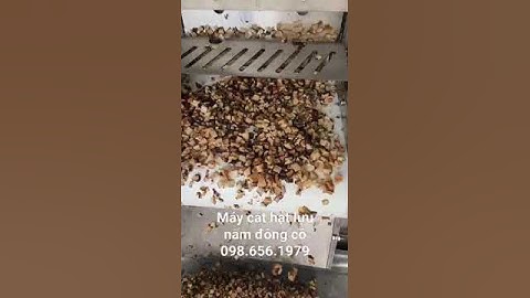 máy cắt nấm đông cô hạt lựu, máy cắt hạt lựu rau củ quả tự động Jl1000