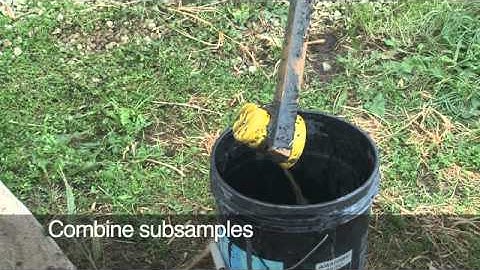 Liquid Manure Sampling (Spanish version)
