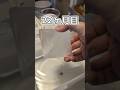 【ミョウバン結晶育成記録】22ヵ月目 #理科 #自由研究 #ミョウバンの結晶 #科学