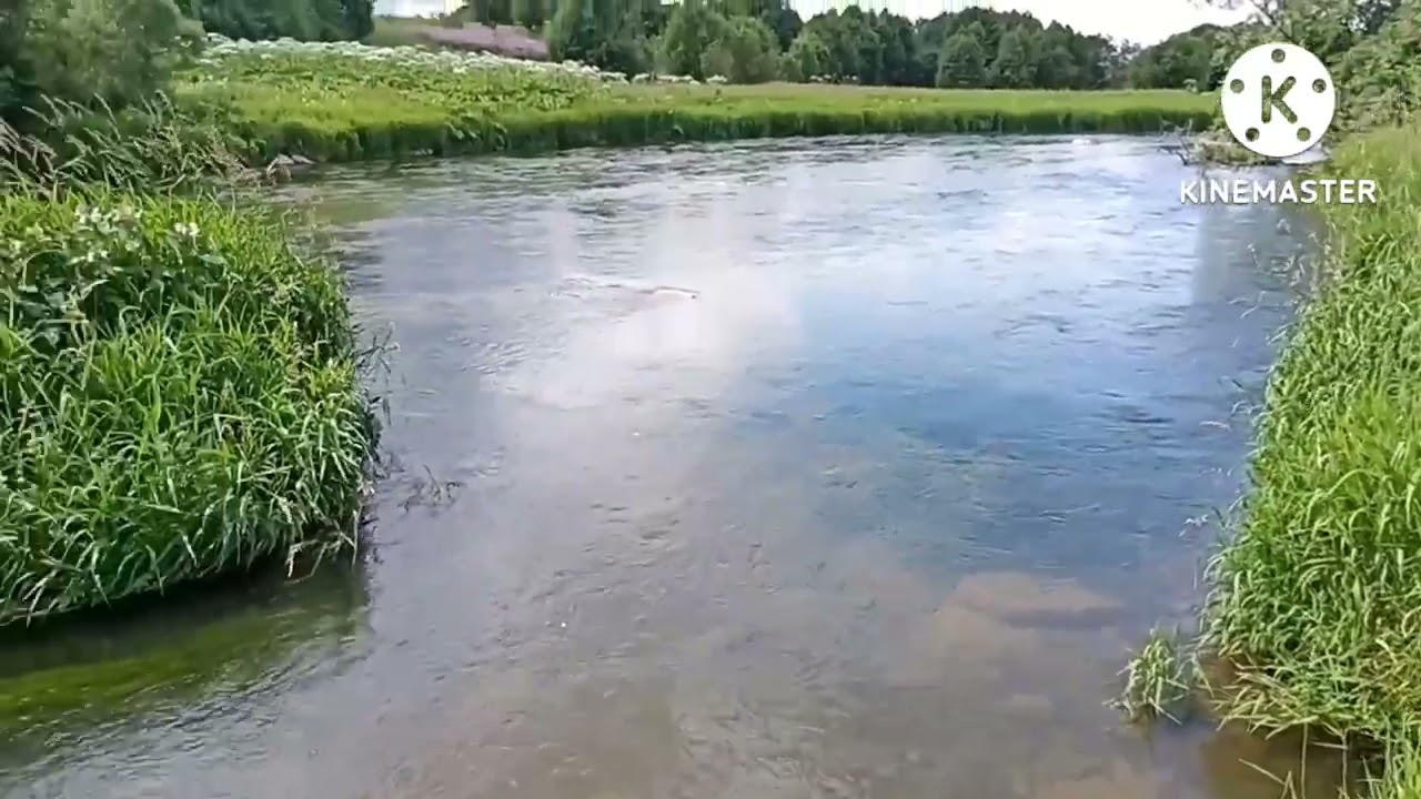 Бросить алкоголь навсегда