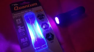 Harbor Freight Quantum UV Flashlight Review