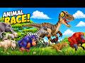 Animal stampede aline ufo Animal Race/Crazy Cartoon Animals 3D running animals crossover
