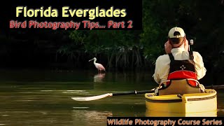 Florida Everglades Photography Part 2   Wild Photo Adventures