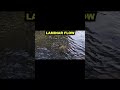445.What is Laminar Flow|Fluid Mechanics|Hindi