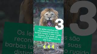 5 curiosidades | Leão #shorts