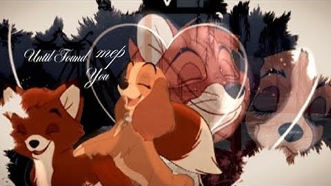 ⤷ animash mep | until i found you 🍁༄