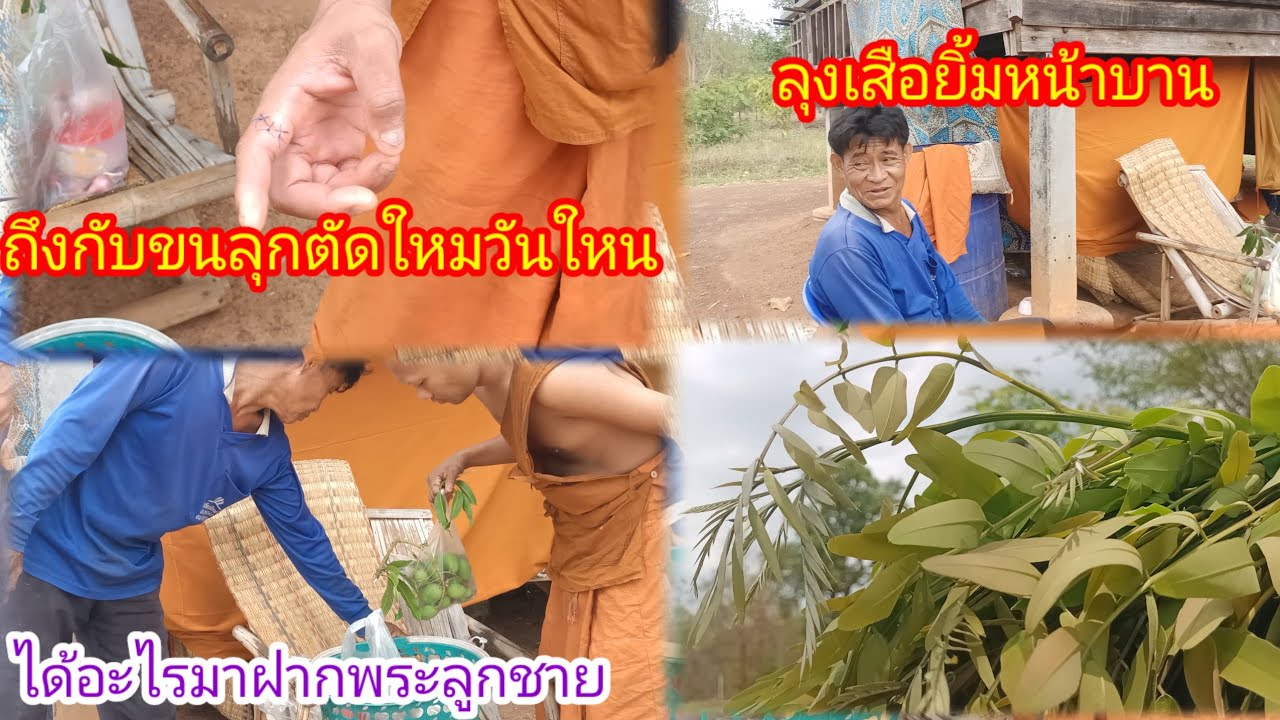 มาวัดหาพระลูกชาย!อาการเจ็บเป็นยังงัยบ้าง!ลุงเสือปีนต้นไม้ทำอะไร