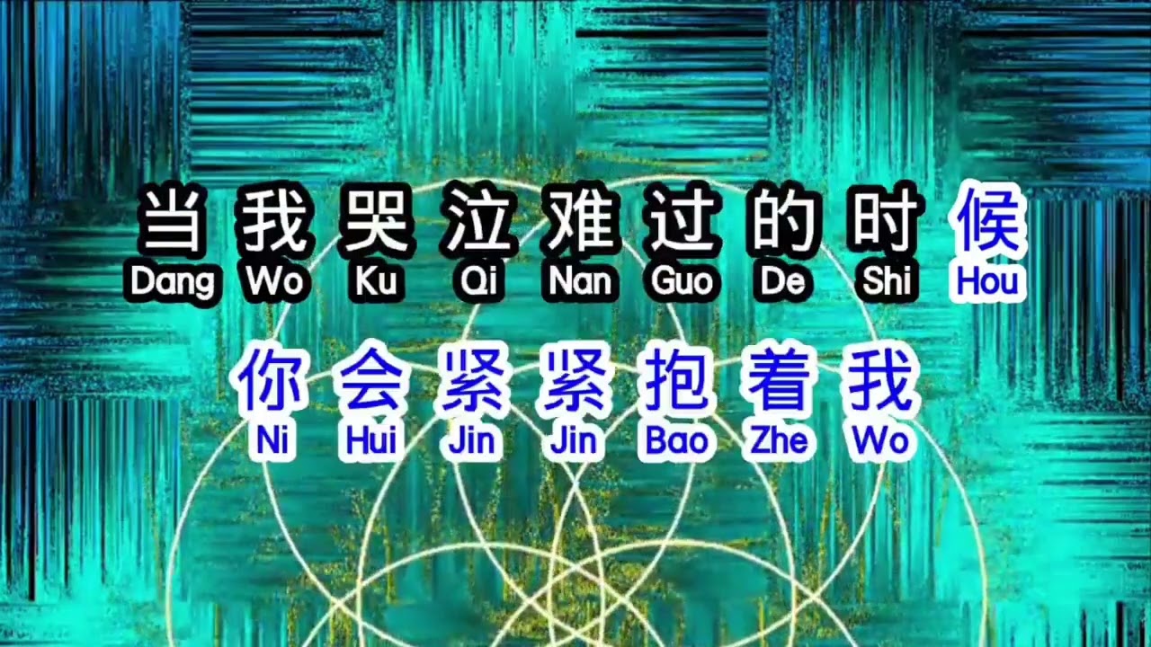 KARAOKE Sho Xhin Yiu Ni 手心有你 伴奏