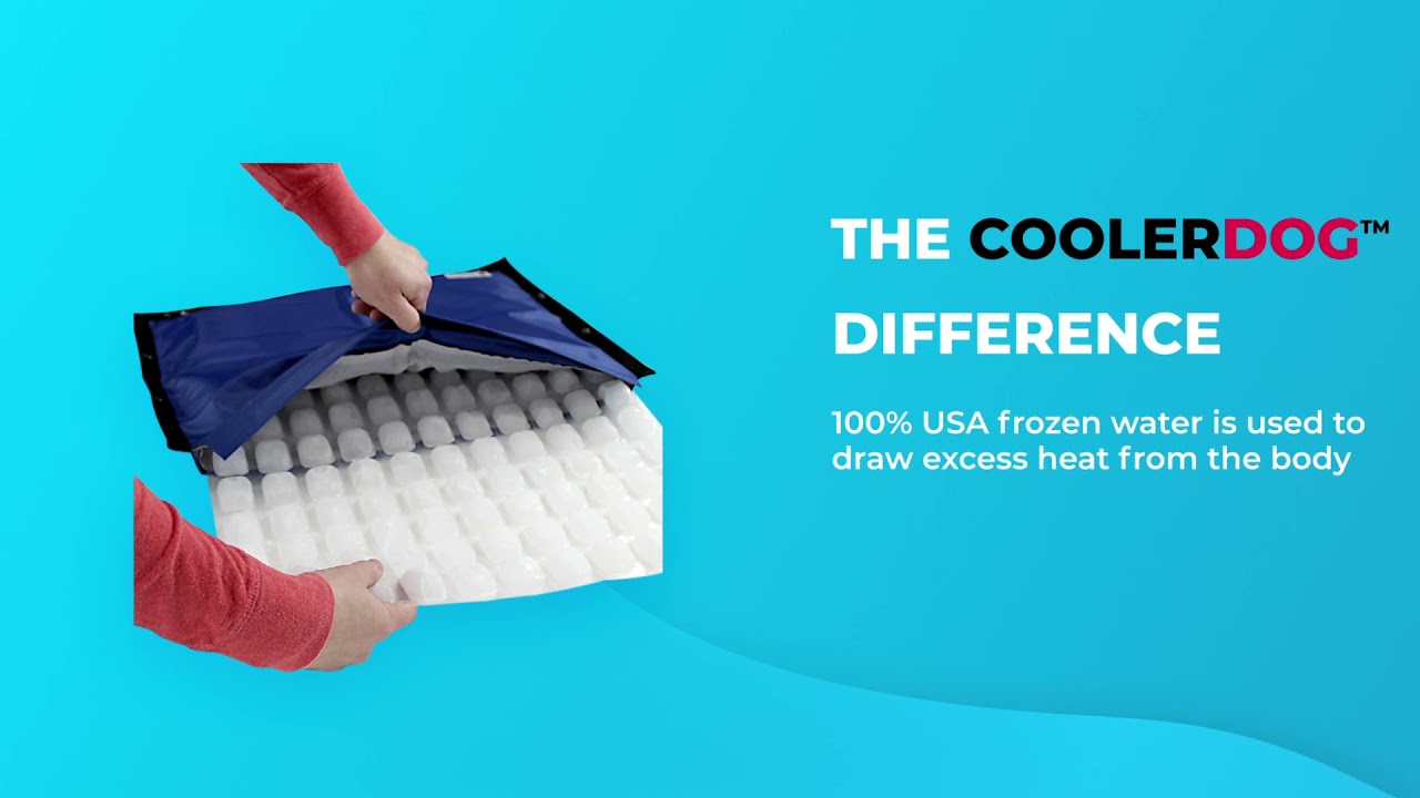 Mini Hydro Cooling Mat - Hoss & Duke's Pet Food