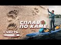 По Каме на САПборде. Битва взглядов с медведем