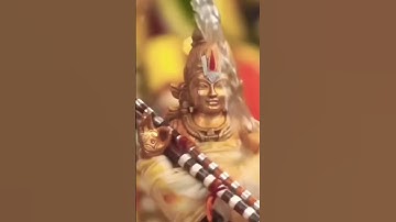 Swamiye saranam ayyappa 🙏| Ayyappa saranam 🙏#shorts #sabarimala #ayyappa #irumudi #pampa #devotional