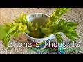 💭 Shone’s Thoughts 🌿 From Constipation to Clarity: My Celery Juice Journey