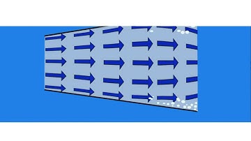 Divergent Flow - ReignEdu #2