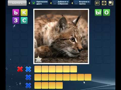 Кот слово 1. Ребус кладовка. Игра кошки по уровням. Ответ игра кот. Cat puzzle маффин игра.