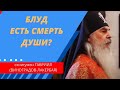 Блуд есть смерть души. Что делать? Схиигумен Гавриил (Виноградов-Лакербая). Верую | Козенкова Елена