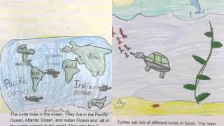 Jane Breen's Animal Report