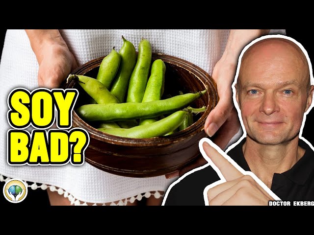 Is SOY BAD For You? (Real Doctor Reveals The TRUTH) class=