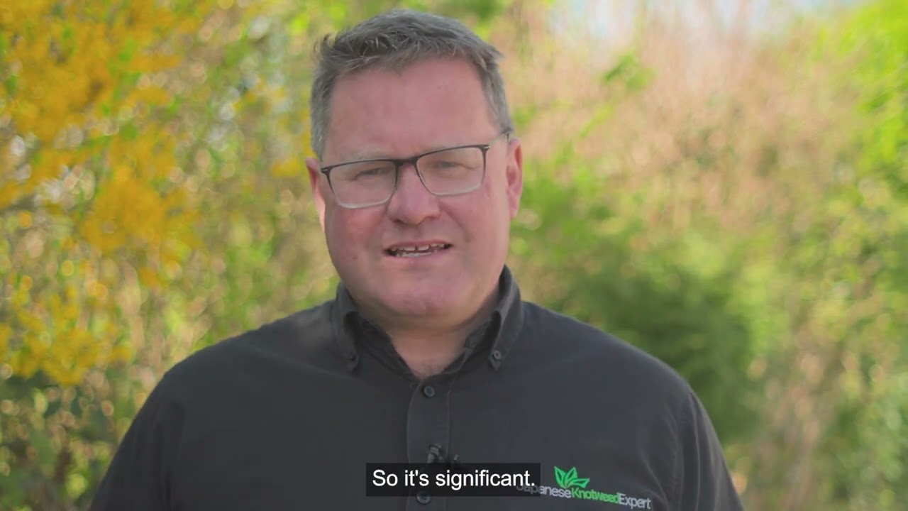 Japanese Knotweed Expert - PART 35 REPORT