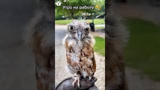 Доброе утро #shorts #работа #сварщик