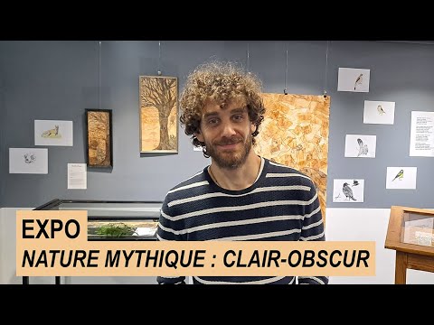  dcouvrir  lexpo Nature mythique  ClairObscur  la BU Saulcy de Metz