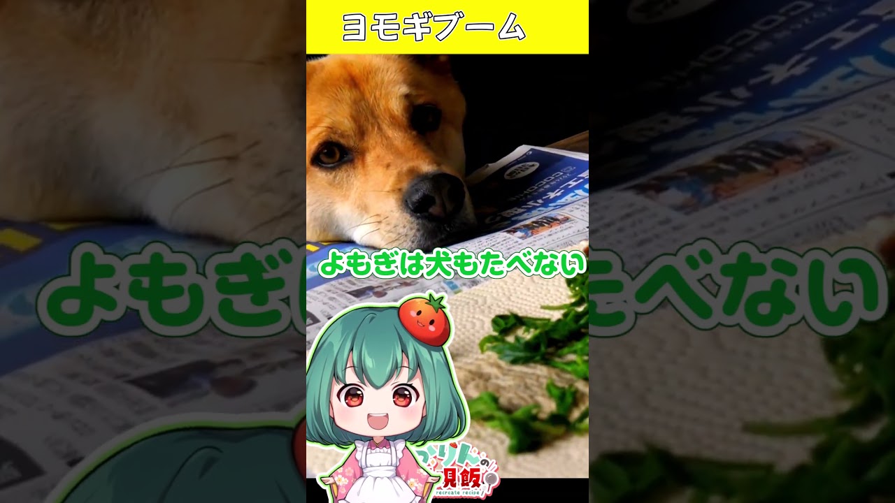 ヨモギブーム🍃道端の草で抹茶ラテ作ってみたら和カフェ気分🍃【料理】【ゆっくり実況】