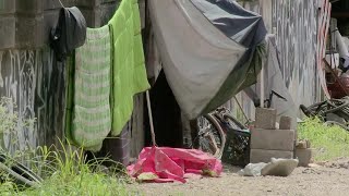 'It's disgusting': Locals frustrated with illegal dumping Net Worth