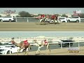 ش5 ريماس لـ هجن الرئاسة سلطان بن محمد الوهيبي المحلي الثامن 19 03 2025م ثنايا بكار مفتوح 12 26 92 