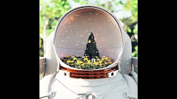 Christmas Hearth in Astronaut Head | Blender Scene