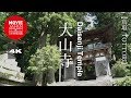大山寺  4K  Daiseji Temple