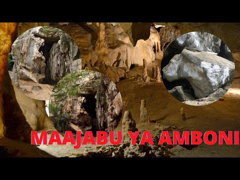 Video: Mapango ya Waitomo Glowworm: Mwongozo Kamili