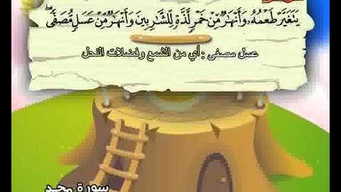 المصحف المعلم الصديق المنشاوي ::: سورة محمد