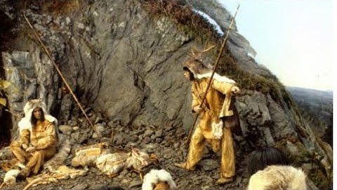 Finding Flint, The Journey NORTH! (Episode 2)