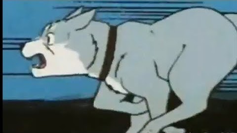 The Bird and The Worm MEP [ FULL ]