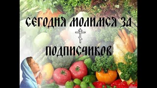 Так  называемый стрим: ВОЗВРАЩЕНИЕ