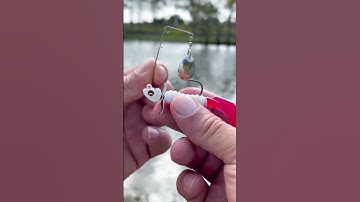 Mẹo và kỹ thuật câu lure cá thành công 😍 | Fishcamp Việt Nam #90 #shorts