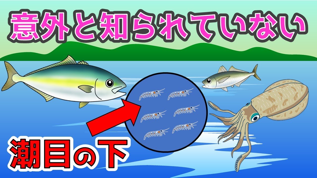 【潮目】なぜ釣れる?/潮目ができる場所/潮目の見極め方 - YouTube