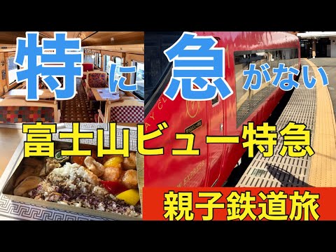『富士山ビュー特急』息子とゆったりピクニック!