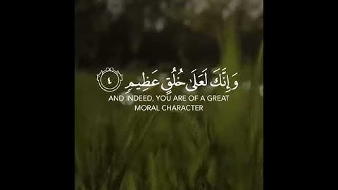 (ن ۚ وَالْقَلَمِ وَمَا يَسْطُرُونَ) القارئ #سالم_الرويلي سورة #القلم 💙