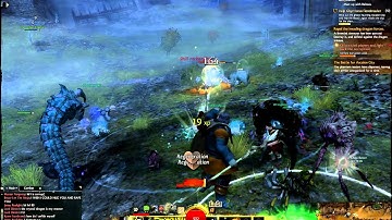 Guild Wars 2 BWE 2 End of Beta Event 1 (Killing a Champion Branded Griffon)