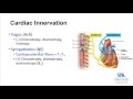 20160121 High Yield Cardiac Keywords Part 1