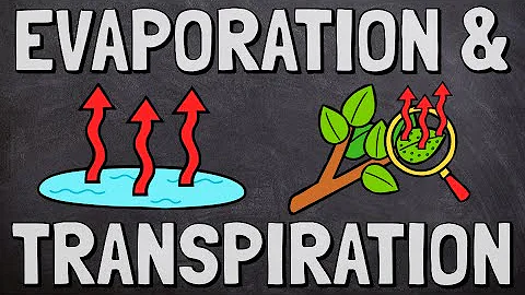 Evaporation and Transpiration