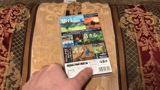 The Legend of Zelda: Breath of the Wild (Switch) Game Review (Japanese copy) (First Video in 2023)