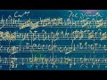 Vivaldi  concerto rv 157 in g minor  original manuscript